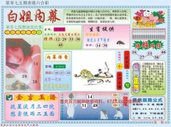 白小姐内幕A